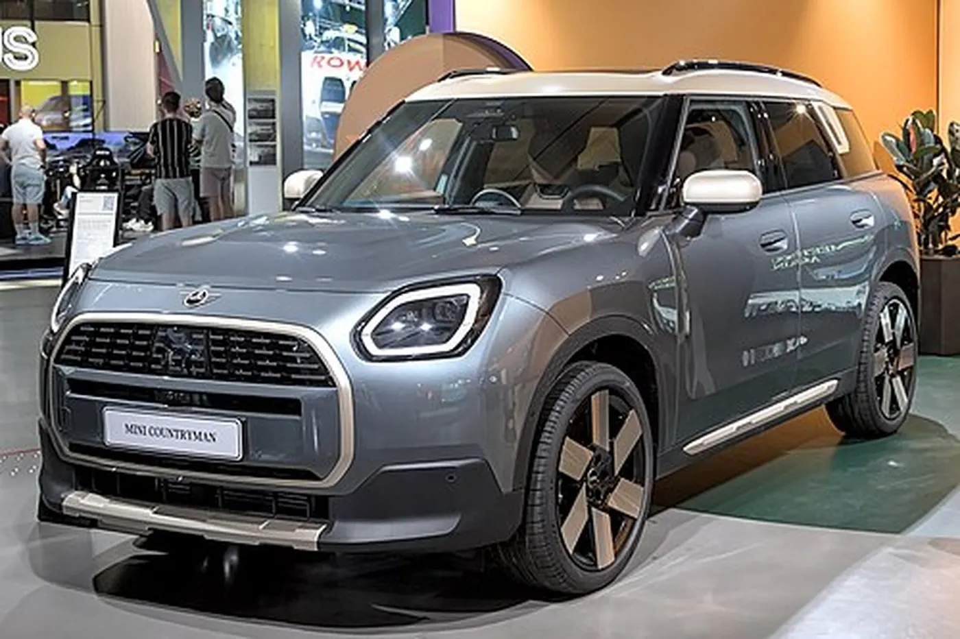 Countryman E