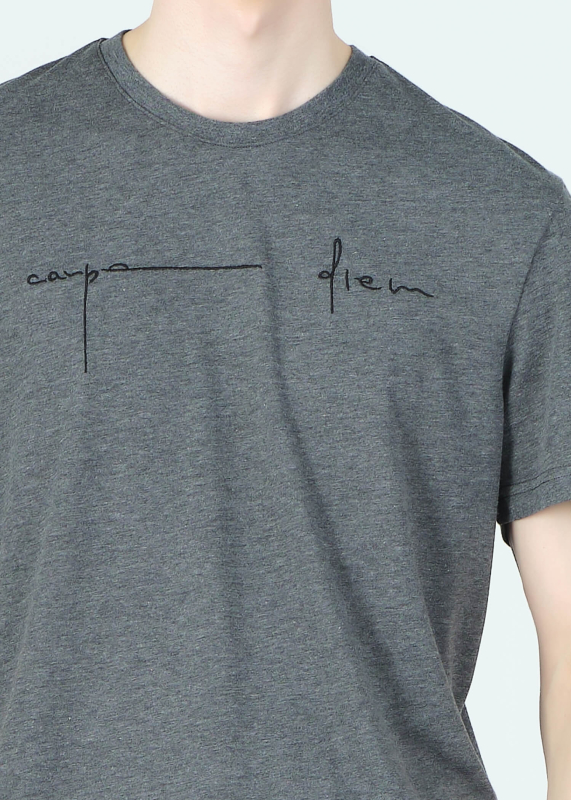 Wholesale Men's Dark Grey Embroidery Printed Regular Fit T-Shirt - 3