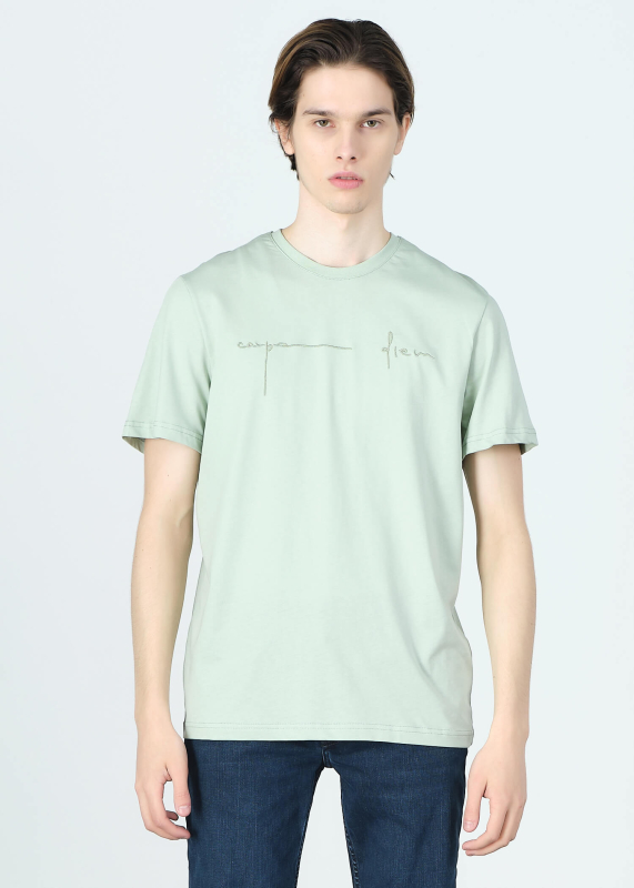 Wholesale Men's Lıght Green Embroidery Printed Regular Fit T-Shirt - 1