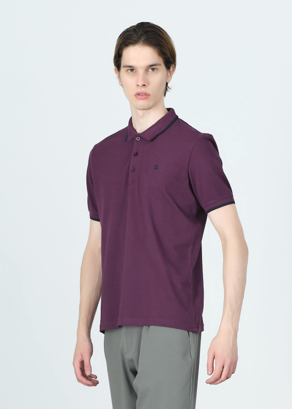 Wholesale Men's Purple Striped Polo Neck T-shirt - 3